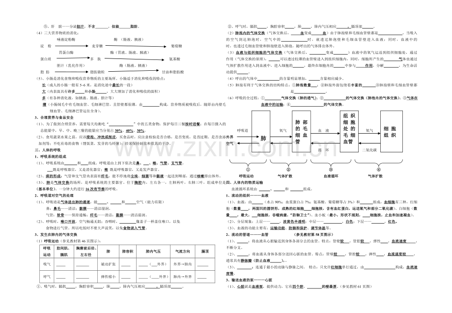 新人教版生物七年级下册知识点填空题.doc_第2页