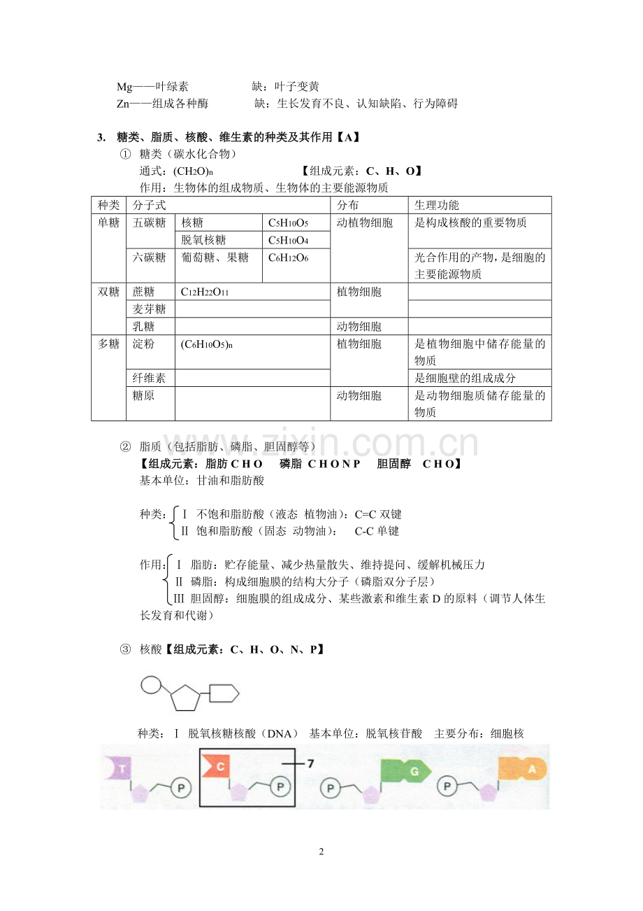 上海第一册生物知识点整理.doc_第2页