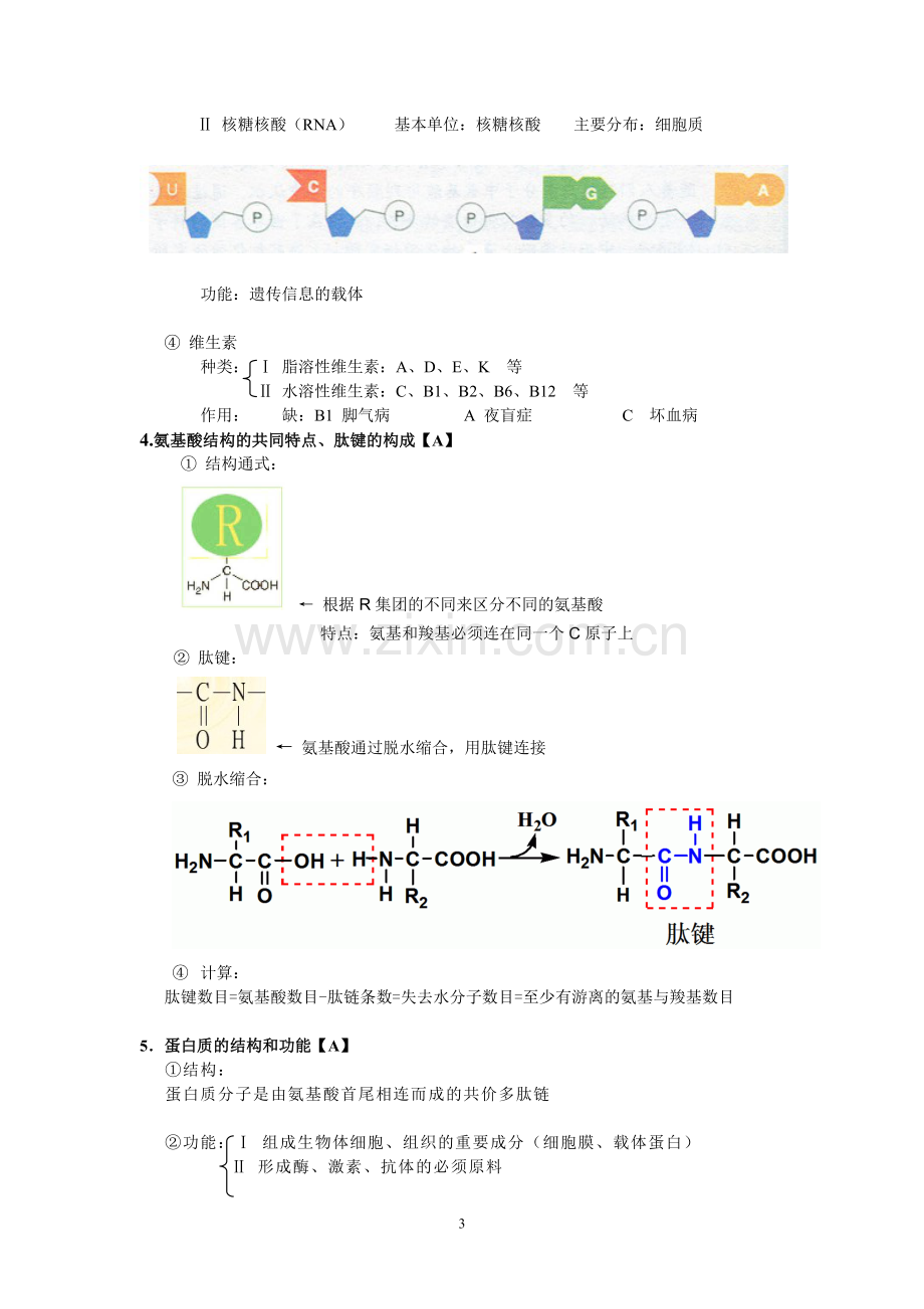 上海第一册生物知识点整理.doc_第3页