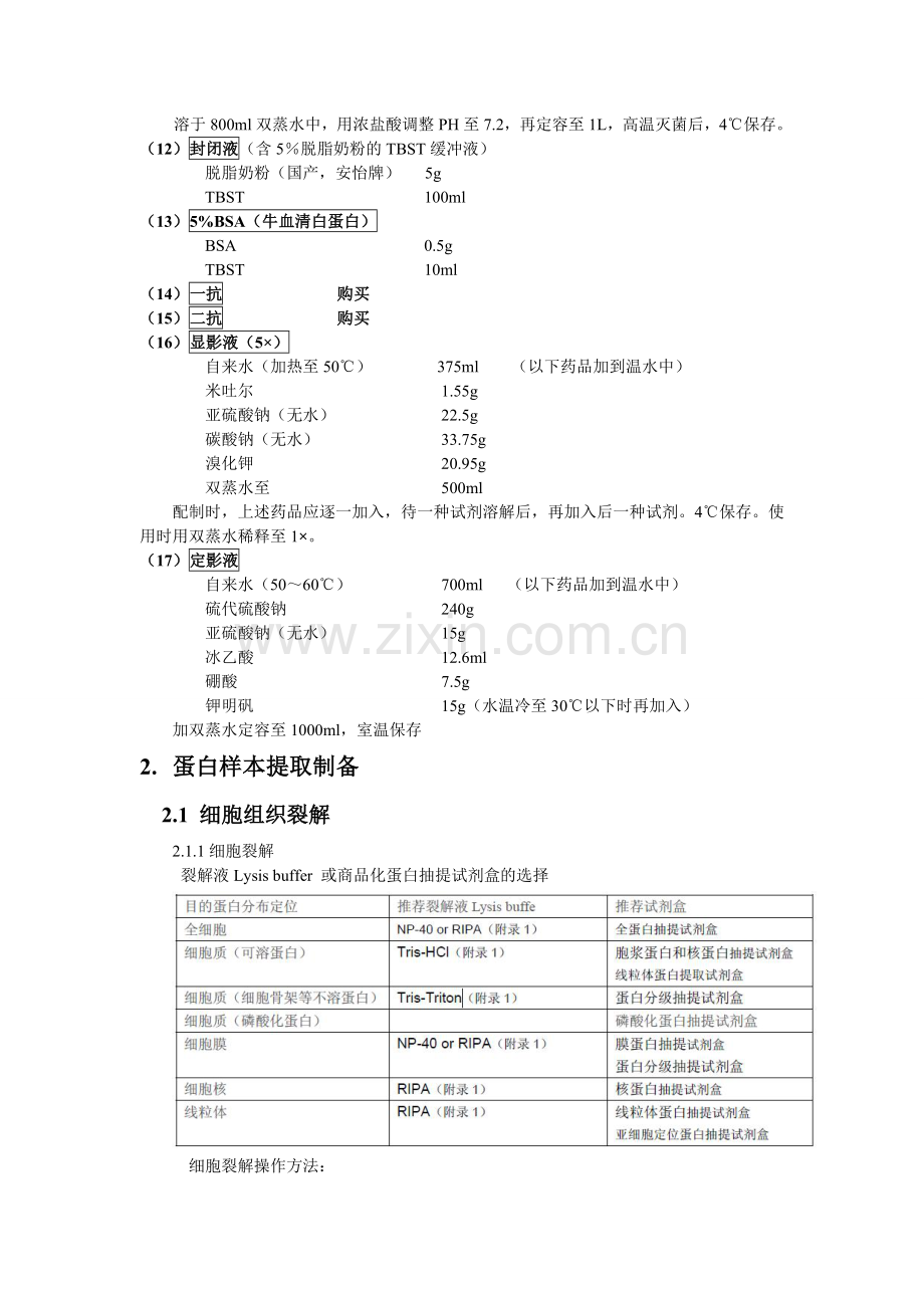 汇总westernblotting实验方法.doc_第3页