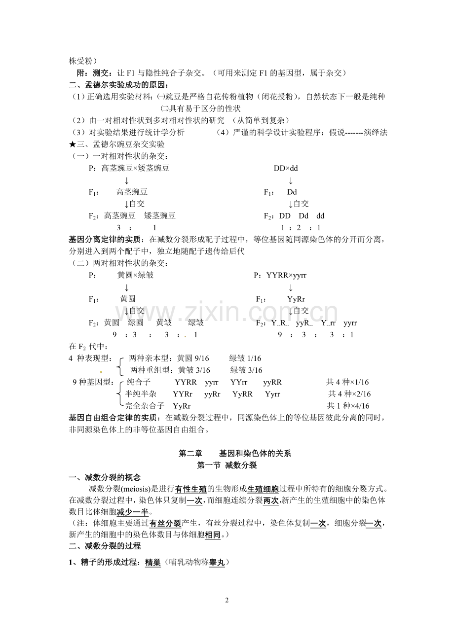 高中生物必修二知识点总结(人教版复习提纲)期末必备.doc_第2页