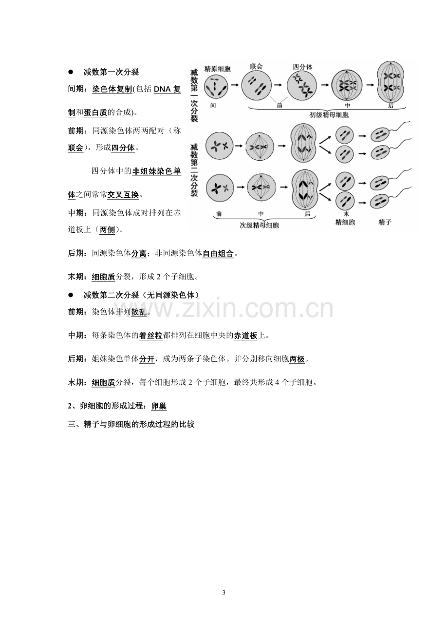 高中生物必修二知识点总结(人教版复习提纲)期末必备.doc_第3页