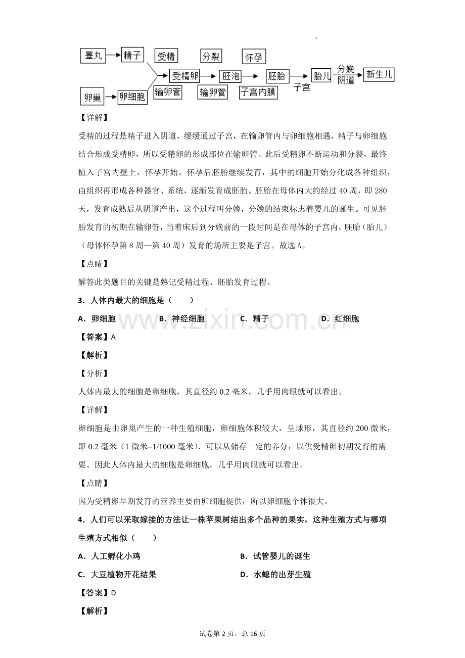 人类的生殖(含答案).doc_第2页