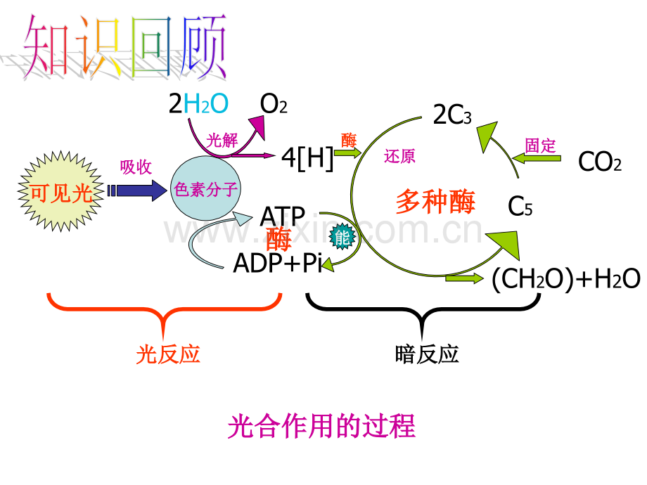 高中生物1-6.1---细胞的增殖课件人教版必修一.ppt_第1页