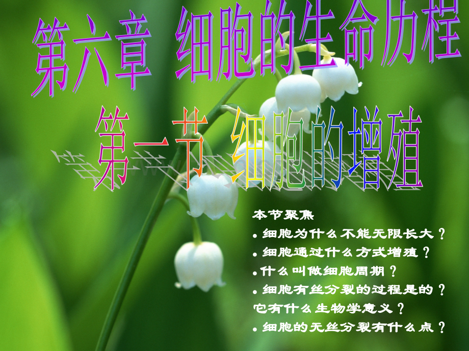 高中生物1-6.1---细胞的增殖课件人教版必修一.ppt_第2页