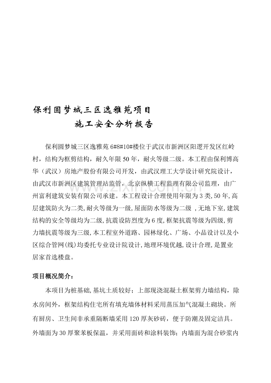 项目施工安全分析报告.doc_第1页