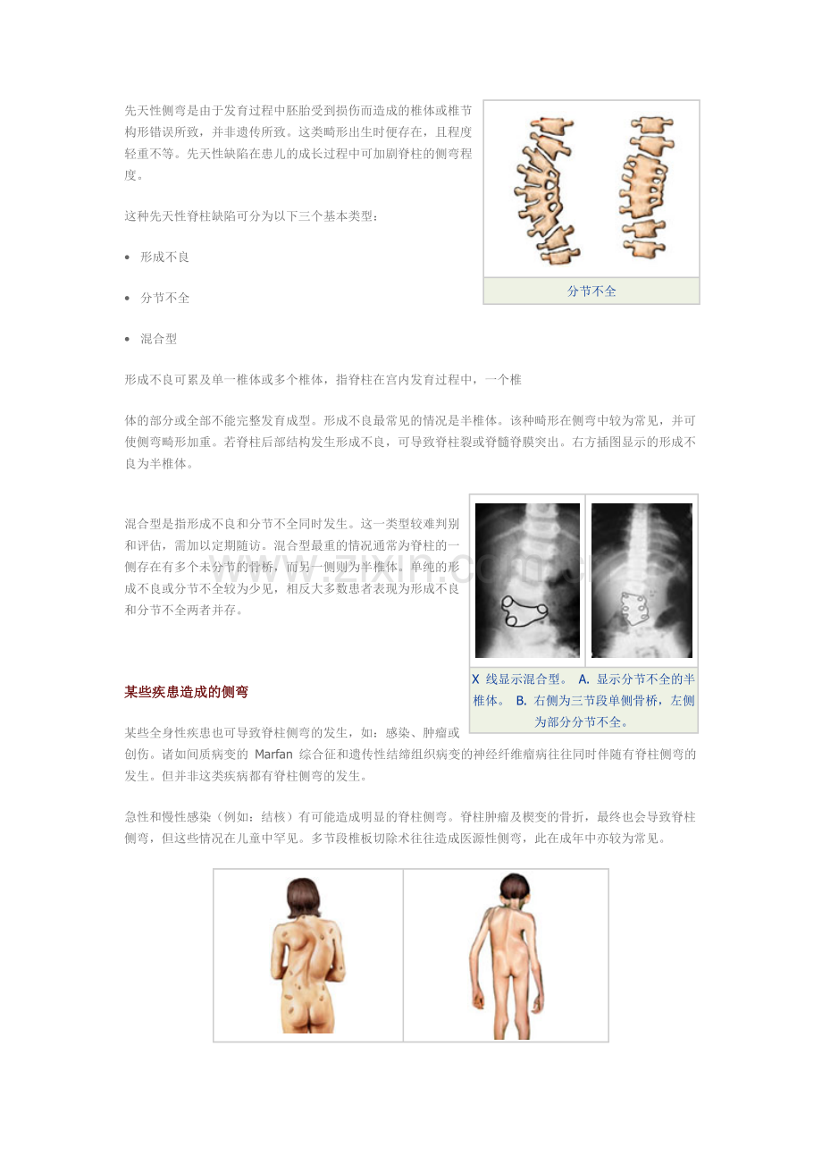 影像学基本原理影像学基本原理.doc_第3页