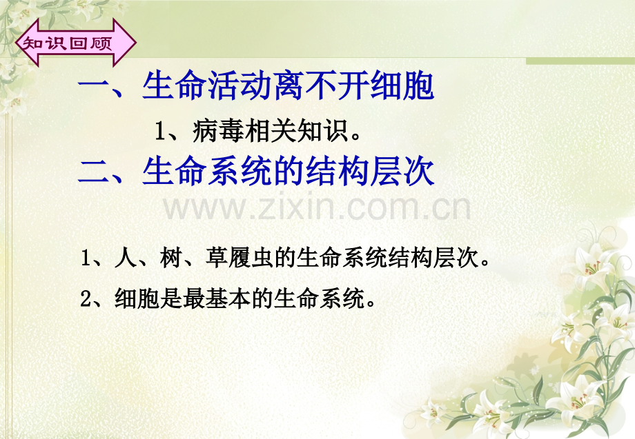 第二节细胞的多样性和统一性.ppt_第1页