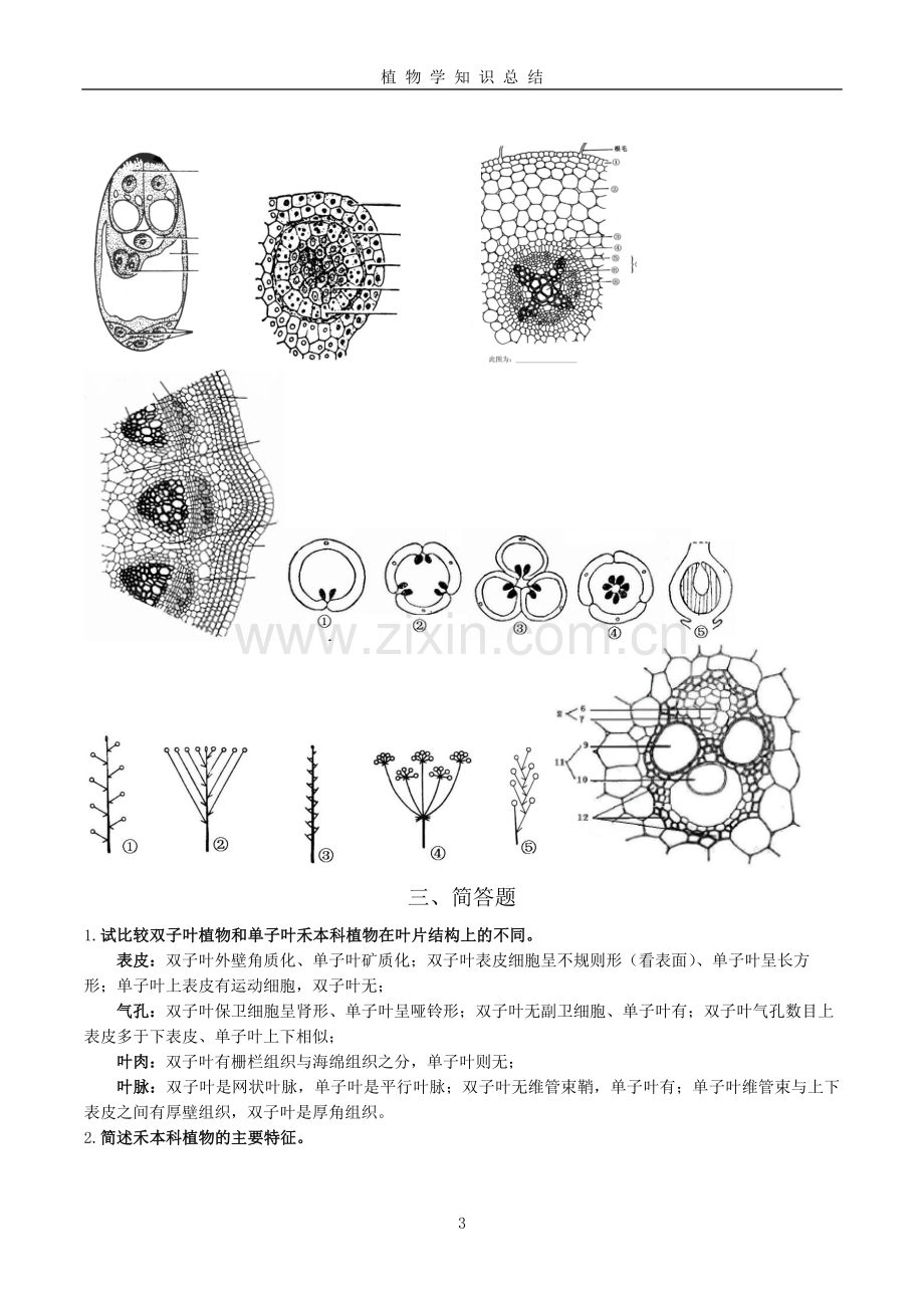 植物学知识总结.doc_第3页