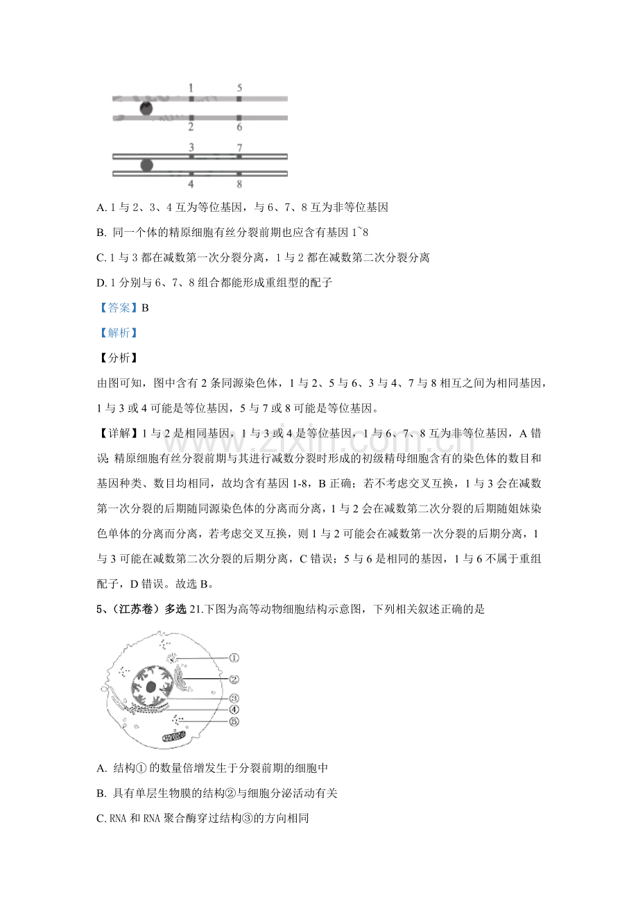 2019年各地高考生物试题分类汇编.doc_第3页