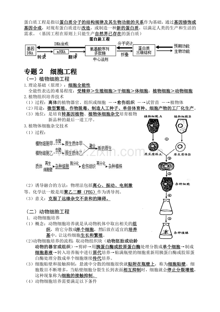 人教版高中生物课堂笔记--生物选修3.doc_第3页