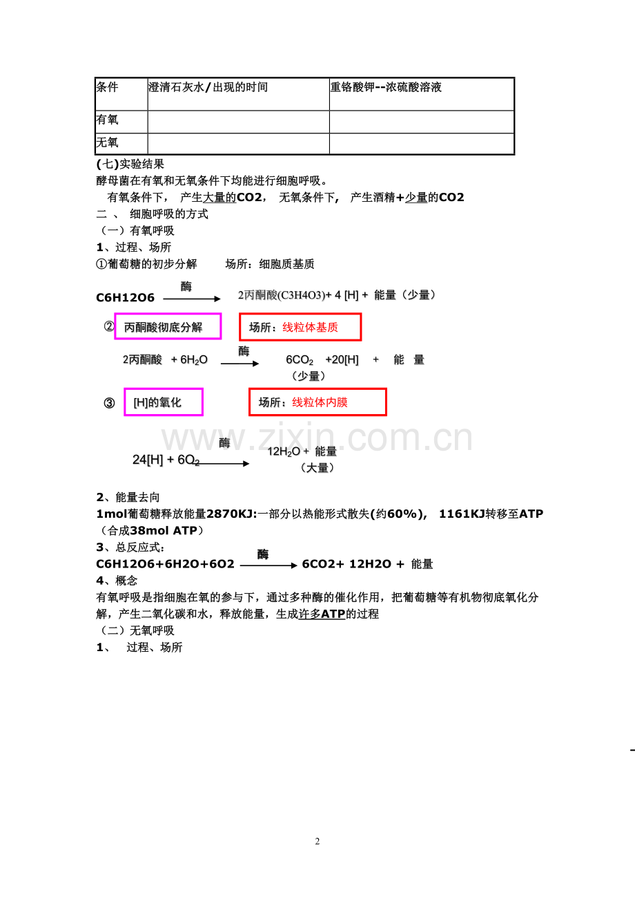 光合作用和呼吸作用知识点总结(DOC).doc_第2页