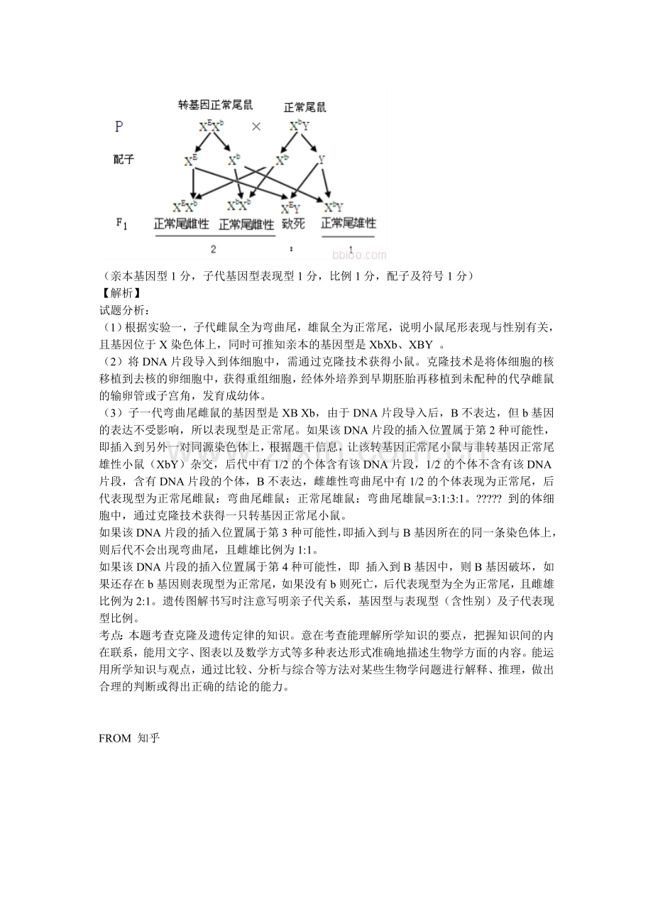 高中生物遗传题解题技巧.doc_第3页