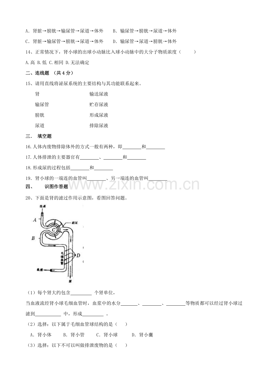 生物：第11章《人体内的废物排入环境》单元测试(苏教版七年级下).doc_第2页