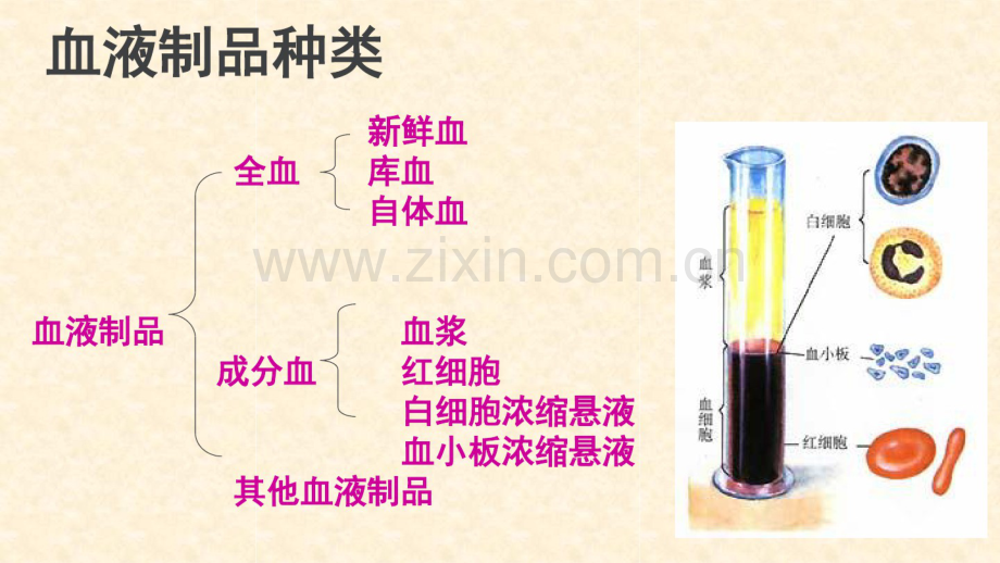 静脉输血规范.pdf_第3页