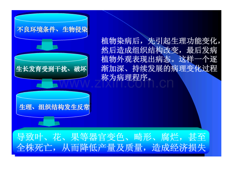 第二章植物病虫草鼠害诊断与防治基础植物病害.ppt_第3页