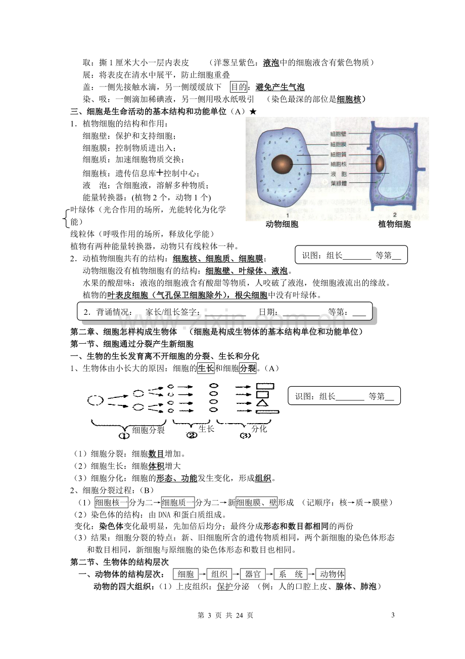 初中生物中考知识点复习资料(新人教版).doc_第3页