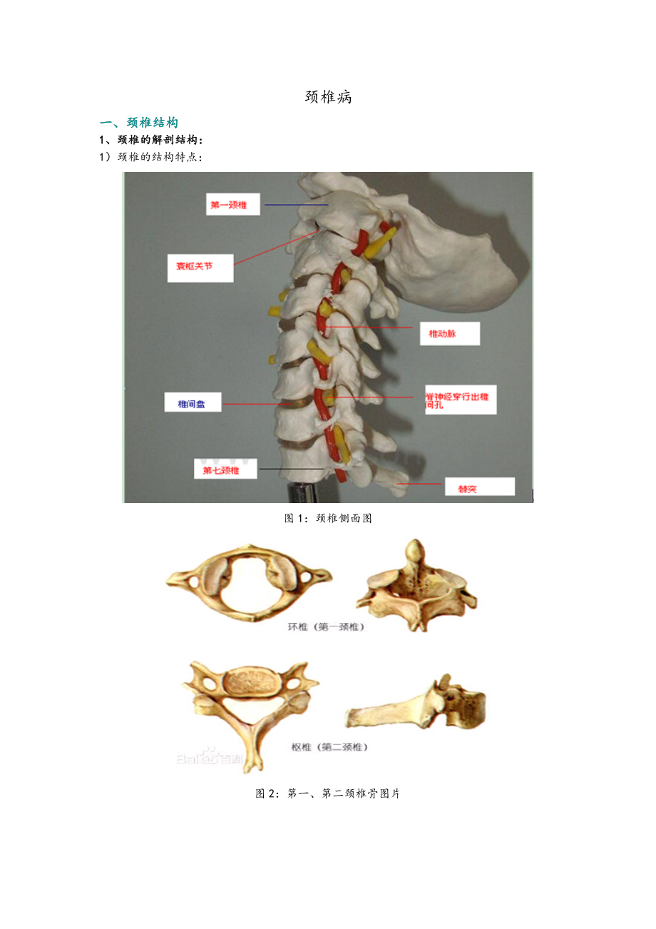 颈椎病内容整理(多图).doc_第1页