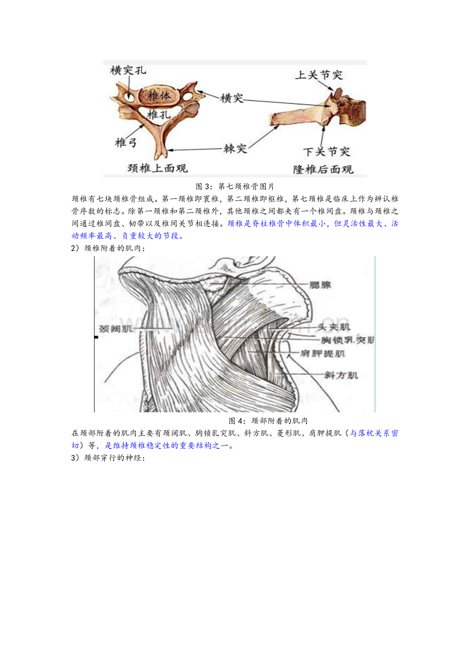 颈椎病内容整理(多图).doc_第2页