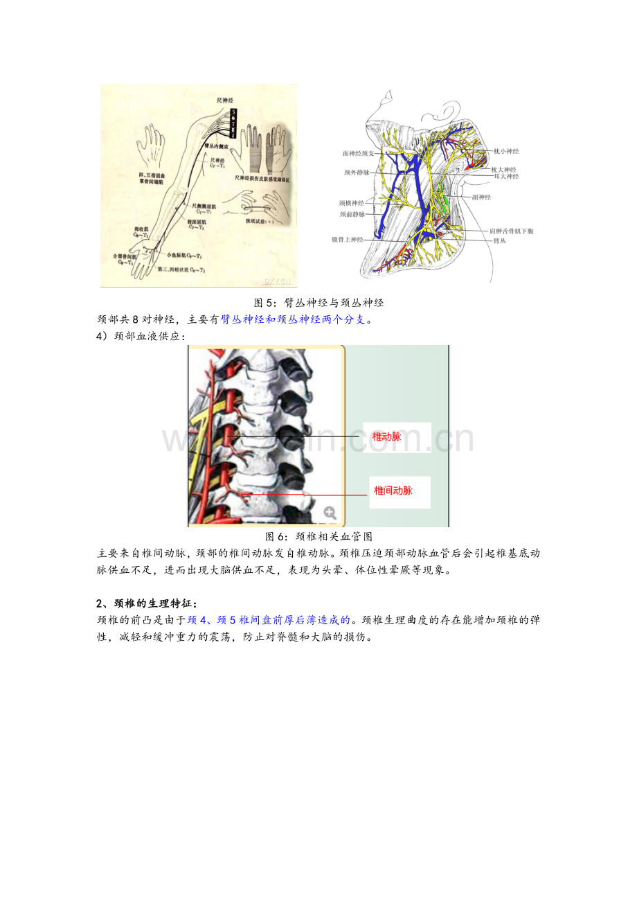 颈椎病内容整理(多图).doc_第3页