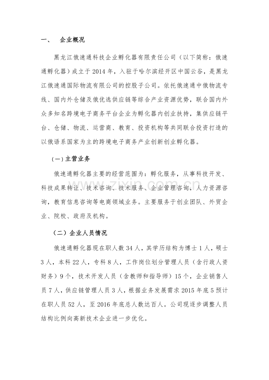 俄速通孵化器项目可行性研究报告.docx_第1页