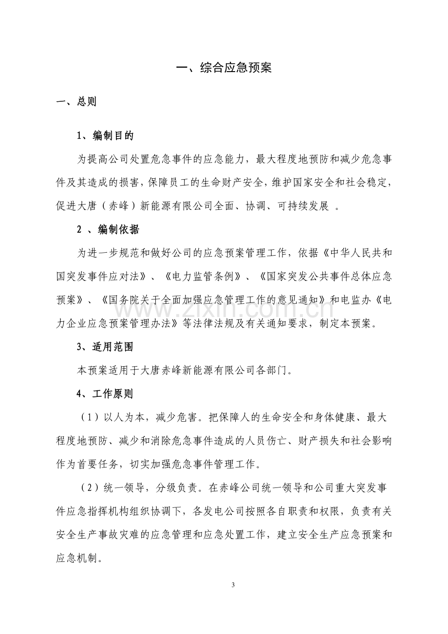 新能源有限公司应急预案汇编.doc_第3页