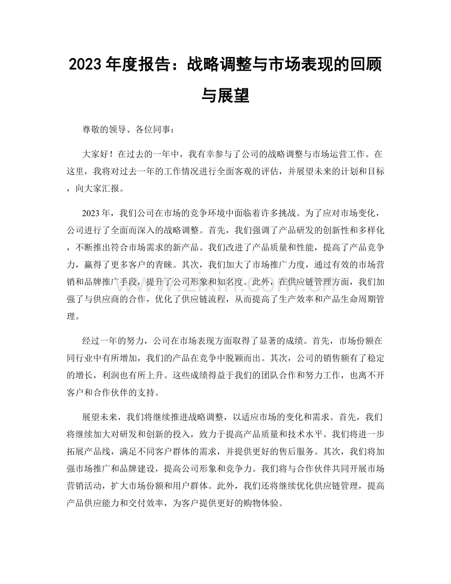 2023年度报告：战略调整与市场表现的回顾与展望.docx_第1页