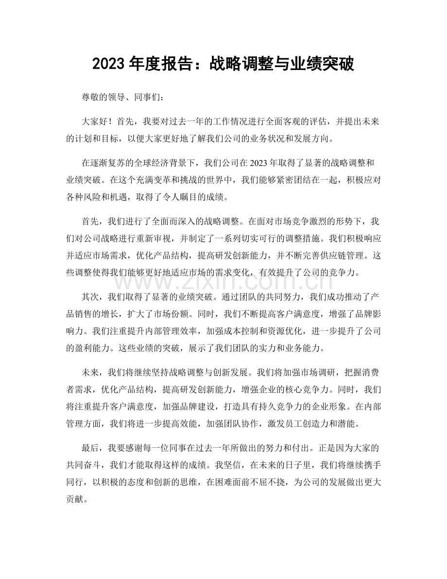 2023年度报告：战略调整与业绩突破.docx_第1页