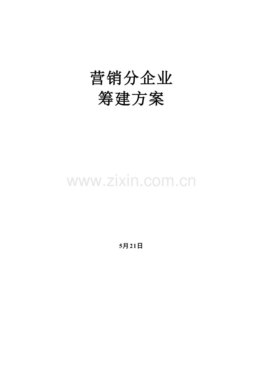 集团分公司筹建方案.doc_第1页