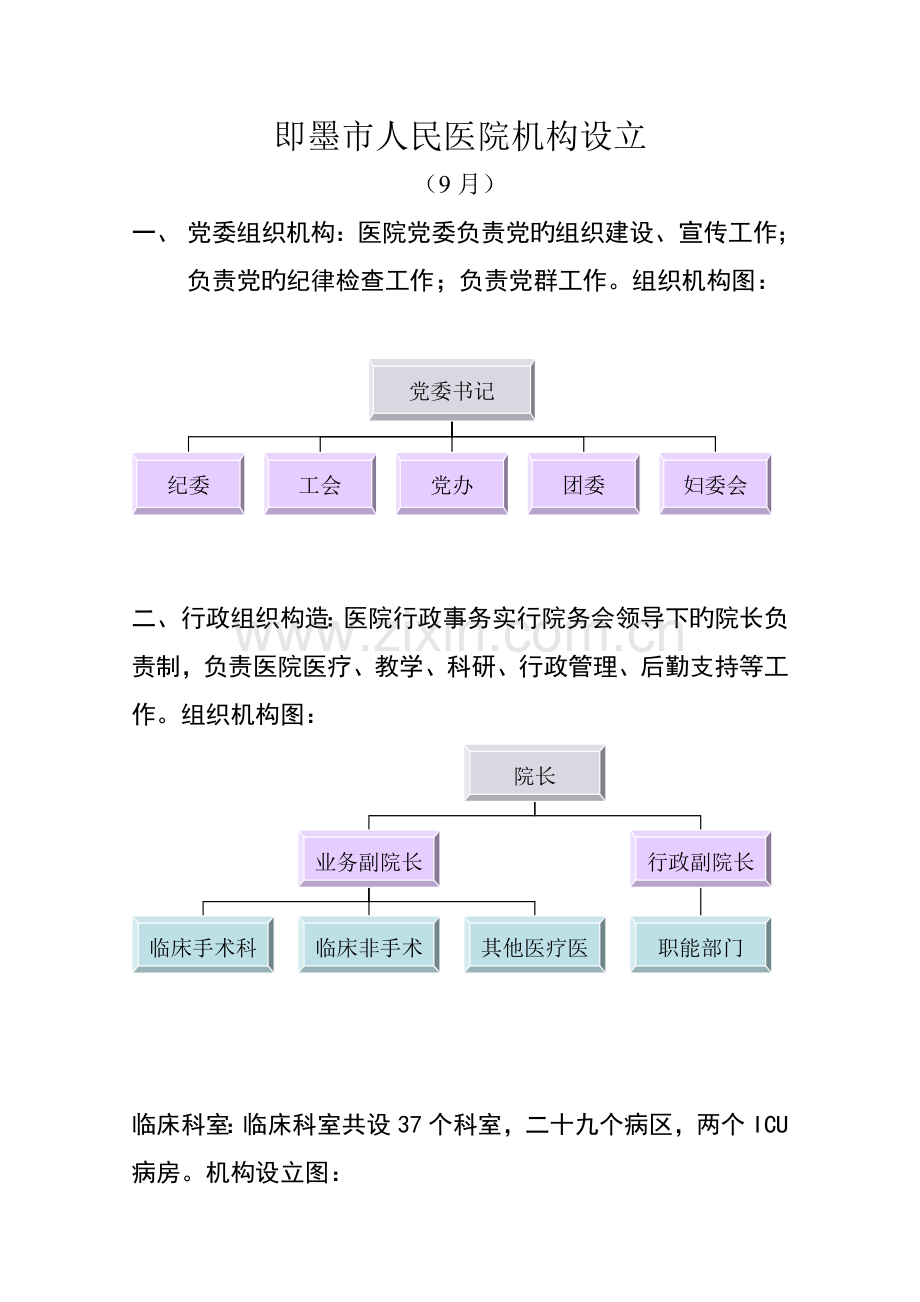 医院组织架构图09.doc_第1页