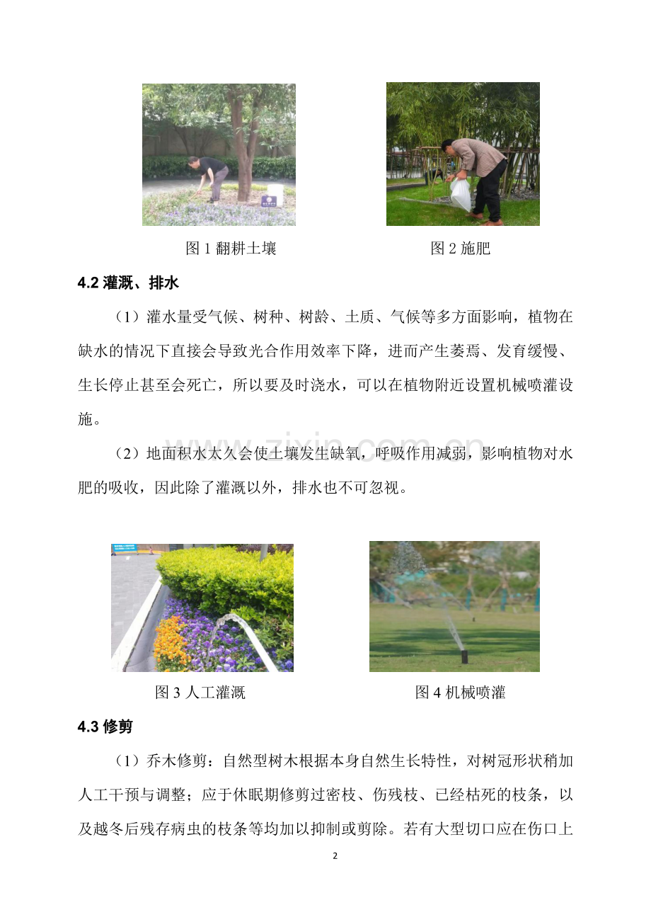 公园绿化养护方案.pdf_第3页