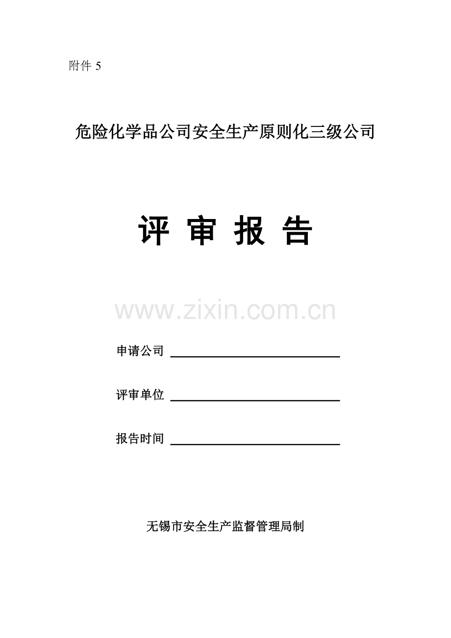 危险化学品企业安全生产标准化三级企业评审报告.doc_第1页