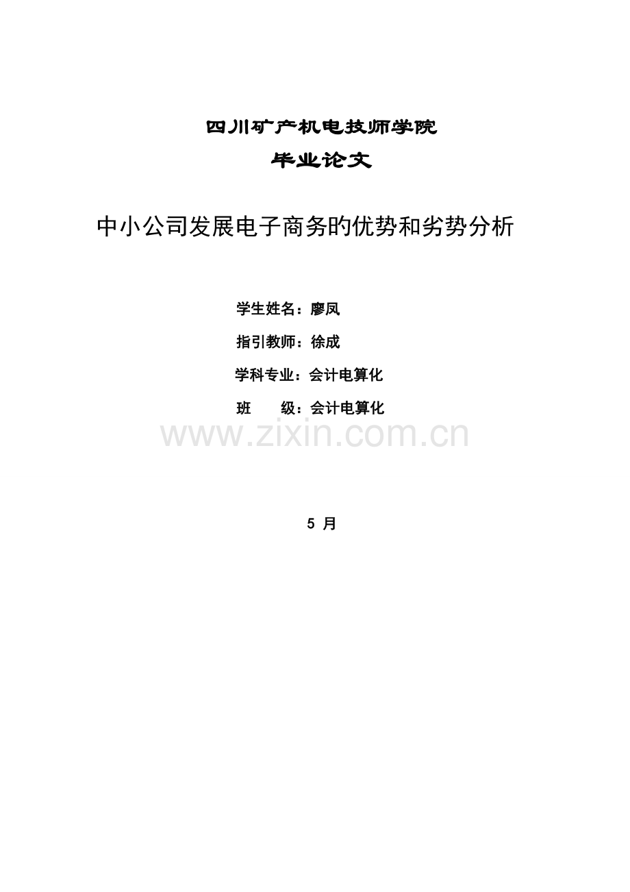 中小企业发展电子商务的优势和劣势分析.doc_第1页