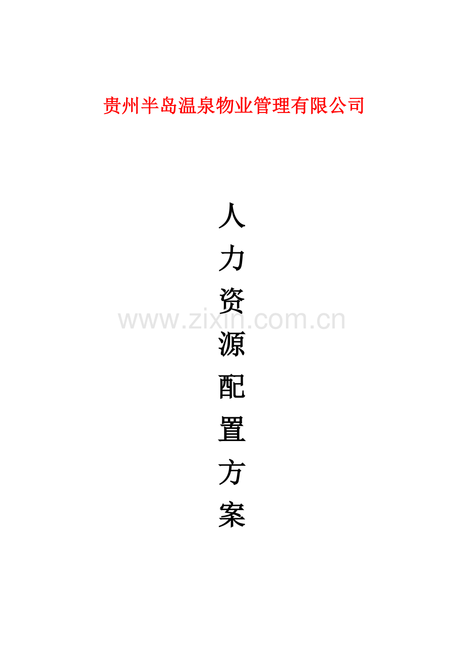 人力资源配置计划.docx_第1页