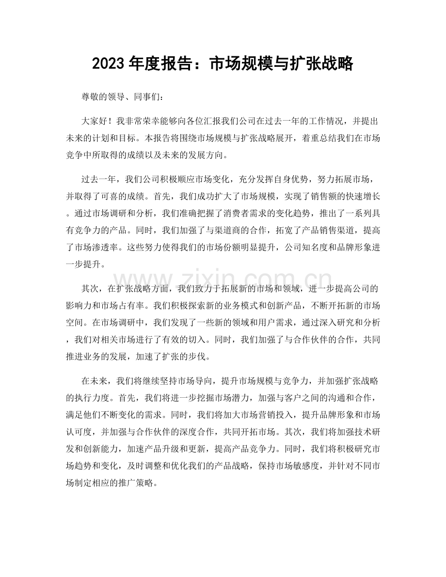 2023年度报告：市场规模与扩张战略.docx_第1页