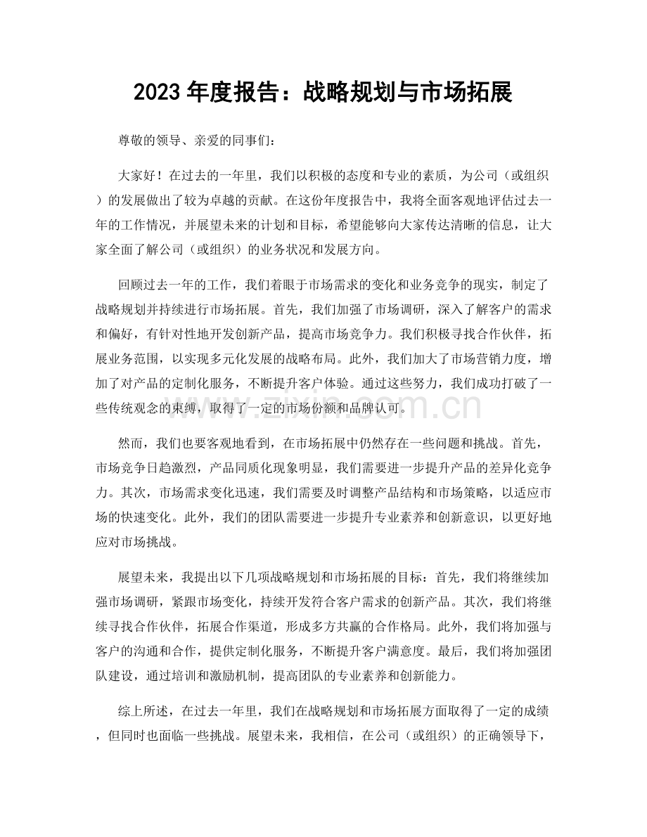 2023年度报告：战略规划与市场拓展.docx_第1页