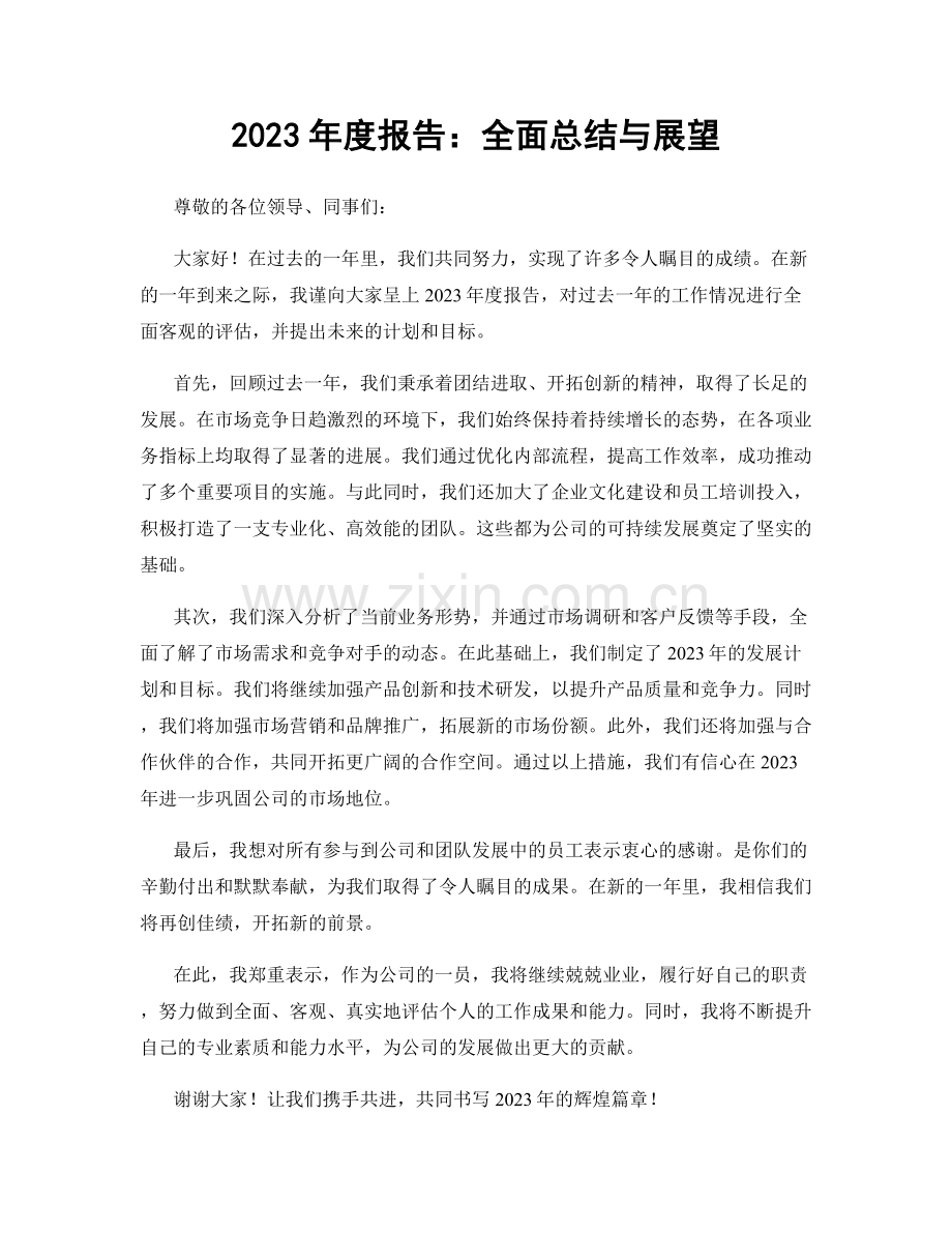 2023年度报告：全面总结与展望.docx_第1页