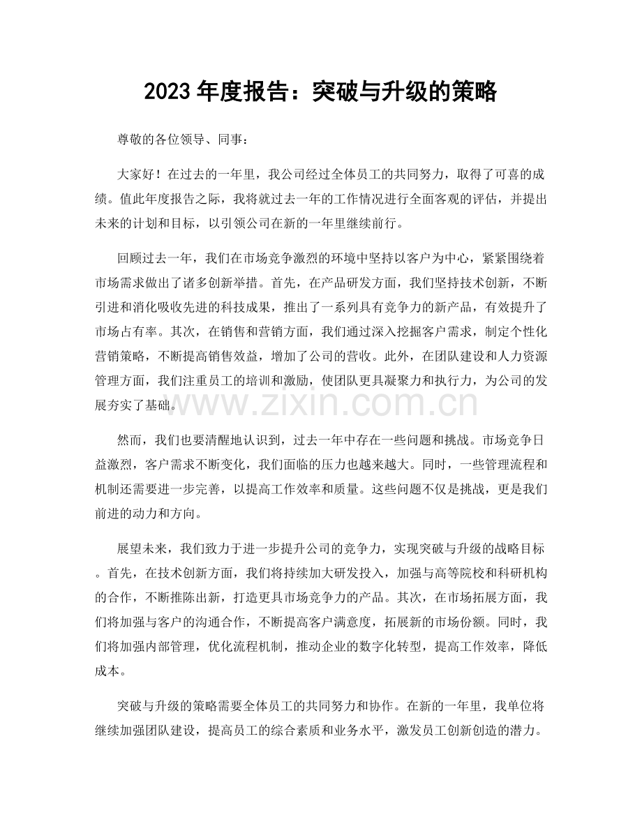 2023年度报告：突破与升级的策略.docx_第1页