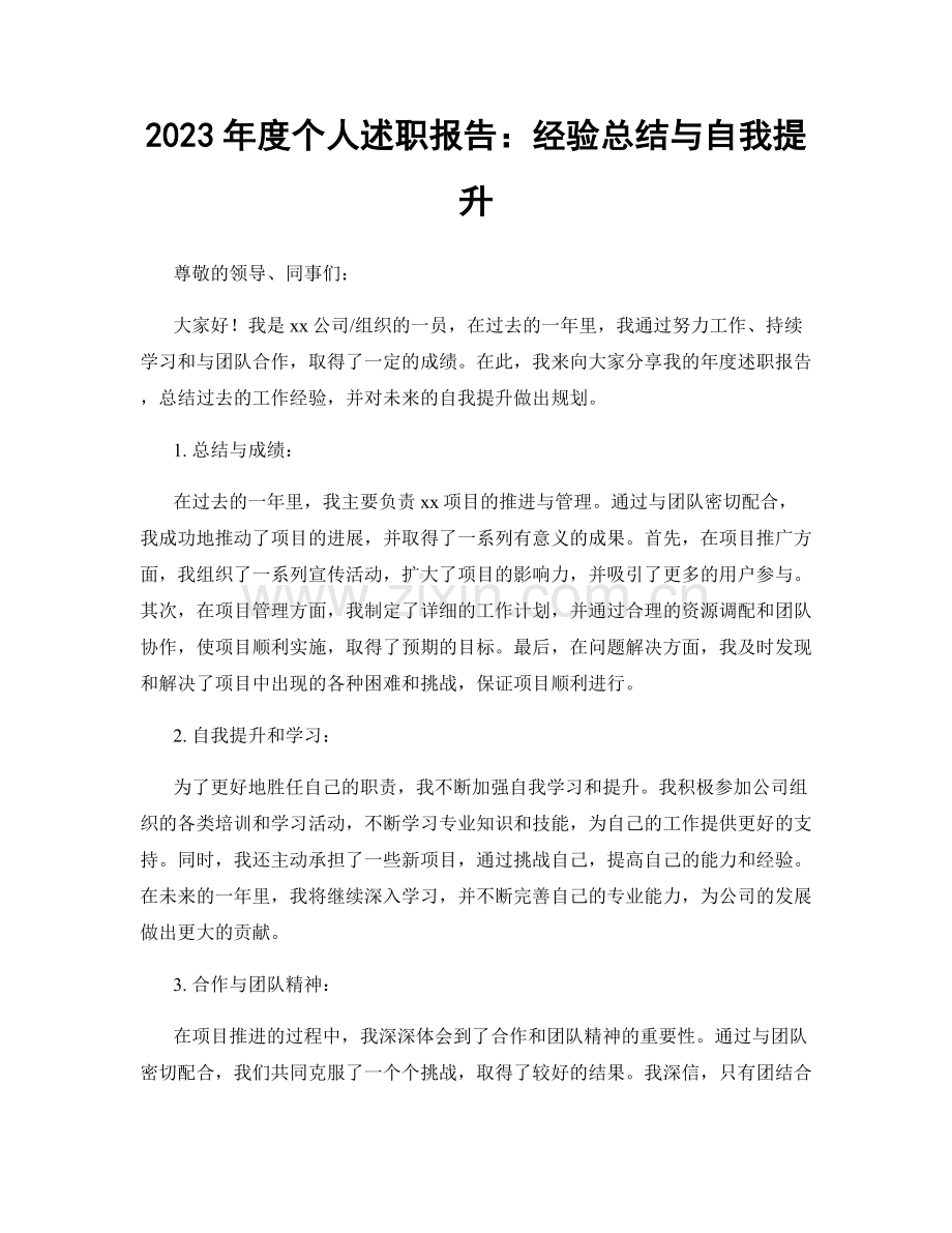 2023年度个人述职报告：经验总结与自我提升.docx_第1页