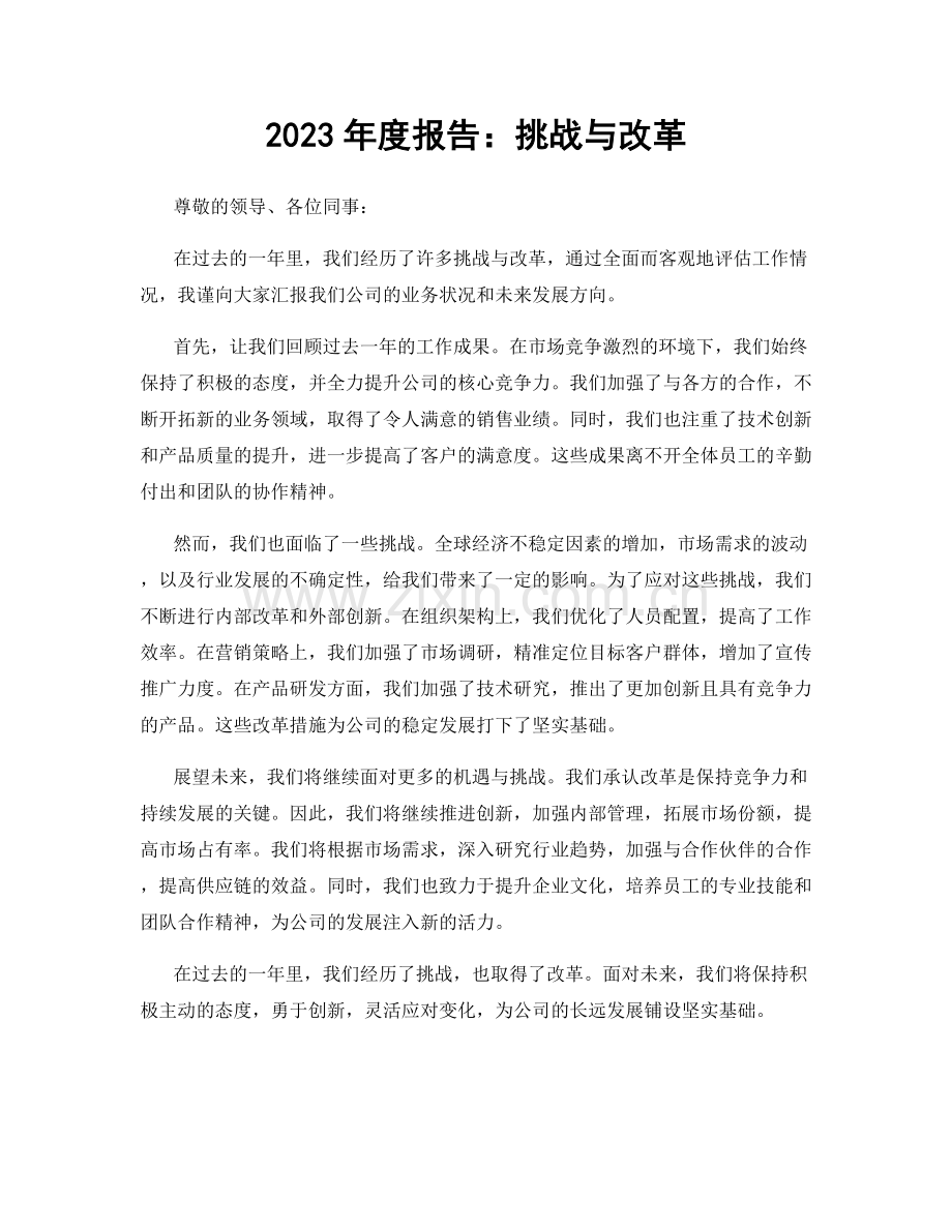 2023年度报告：挑战与改革.docx_第1页