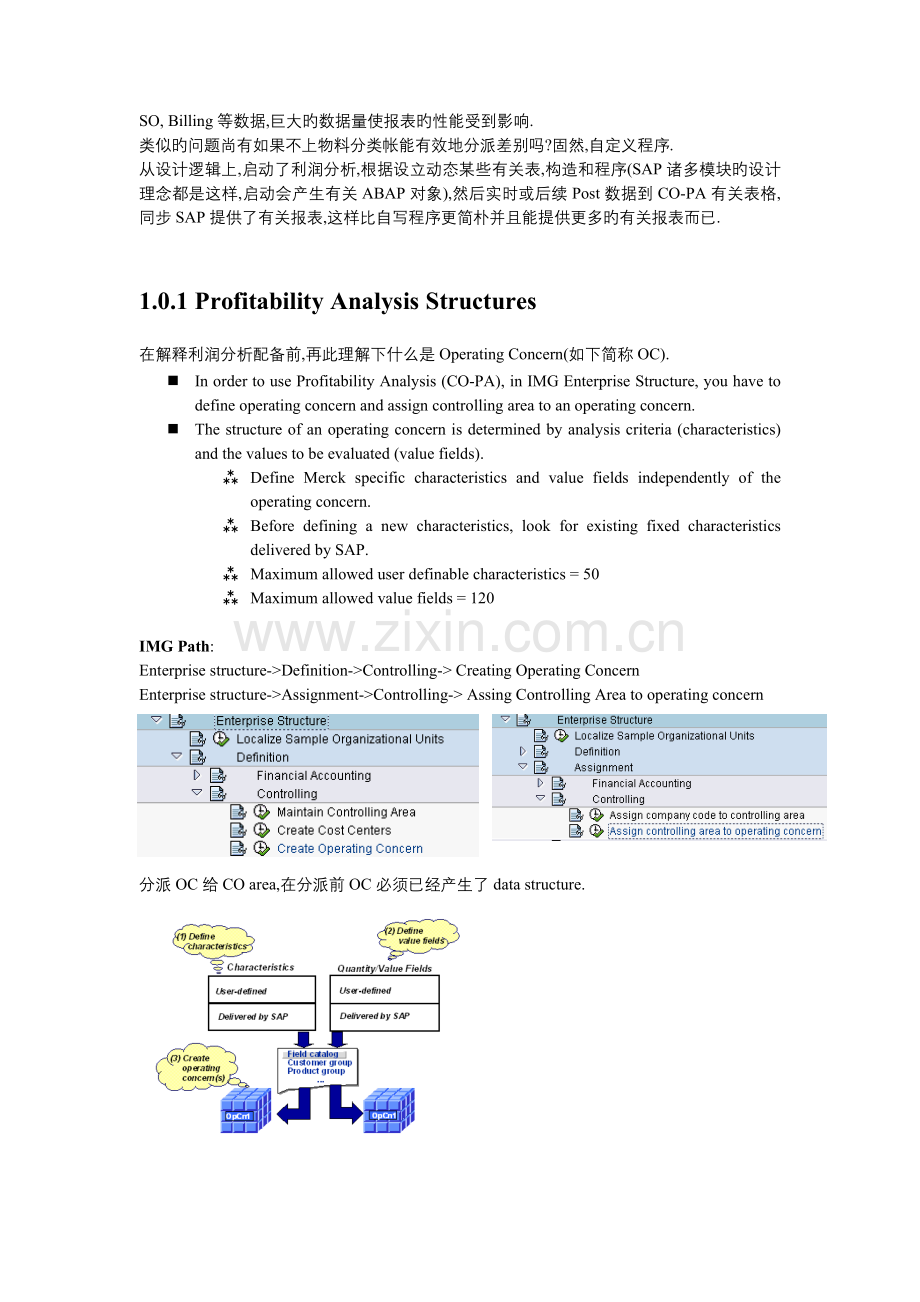 SAPCOPA获利能力分析给力文档.doc_第3页