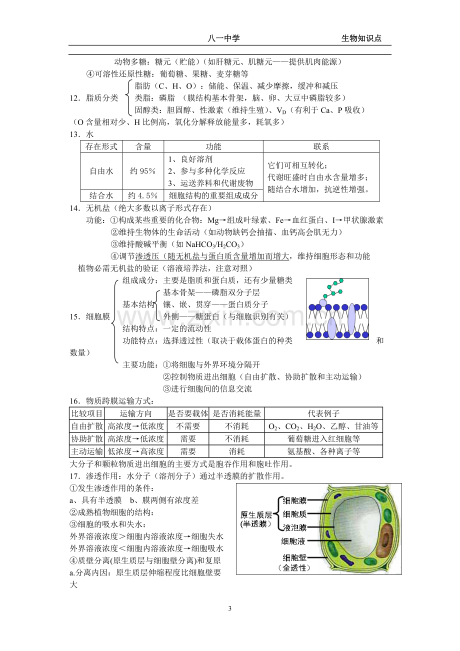 高一生物必修一知识点整理.pdf_第3页