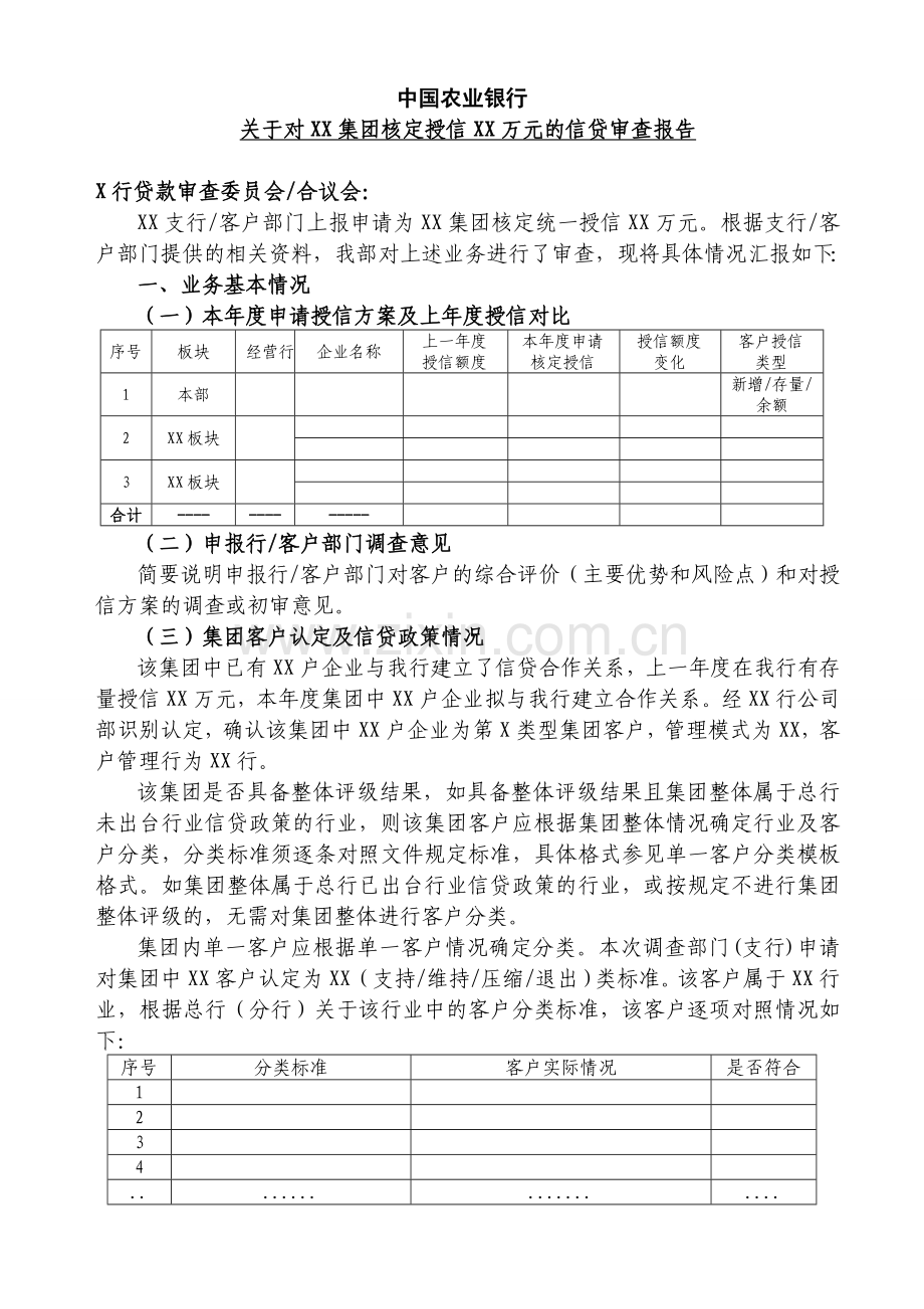 集团客户审查报告范本.doc_第1页