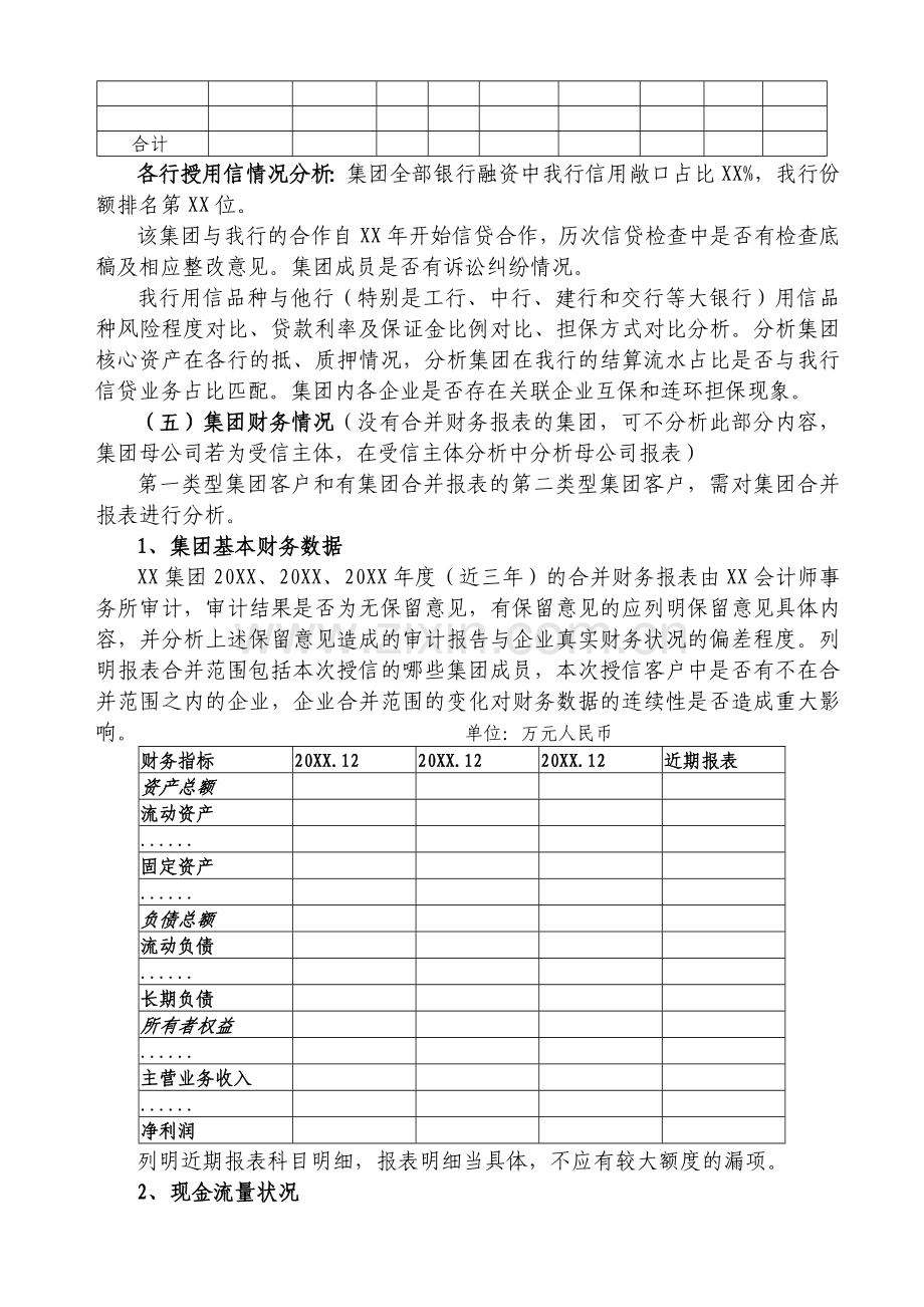 集团客户审查报告范本.doc_第3页