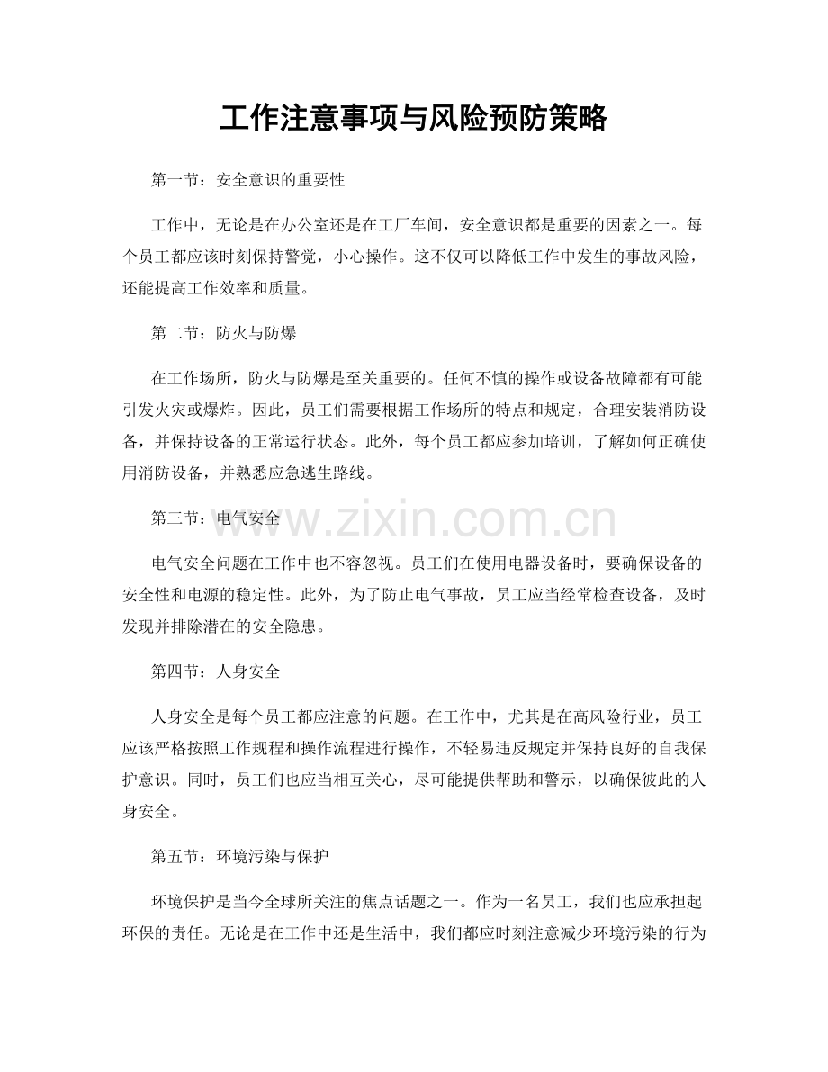 工作注意事项与风险预防策略.docx_第1页