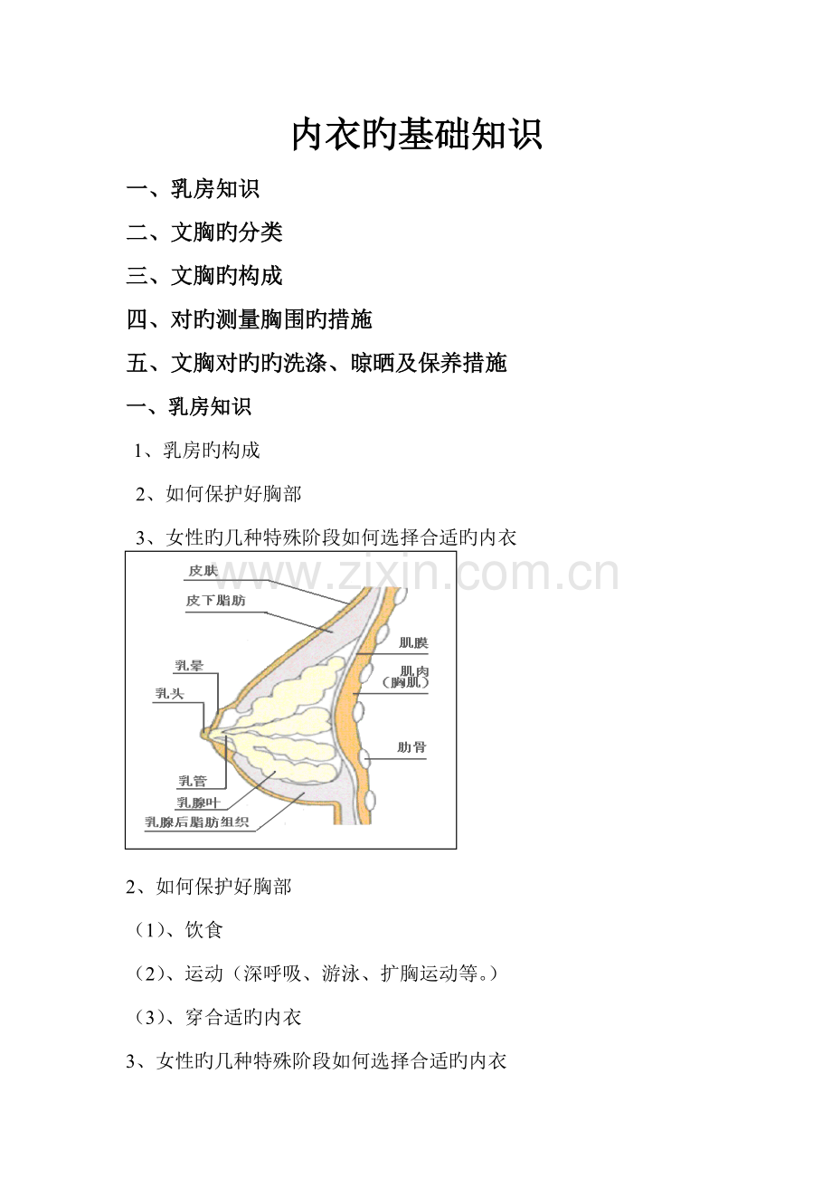 内衣的基础知识.doc_第1页