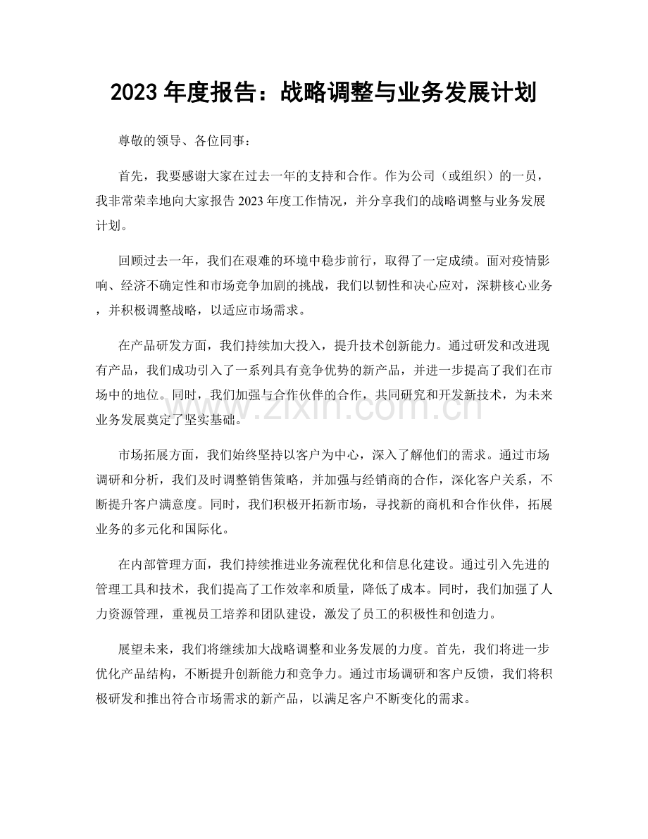 2023年度报告：战略调整与业务发展计划.docx_第1页