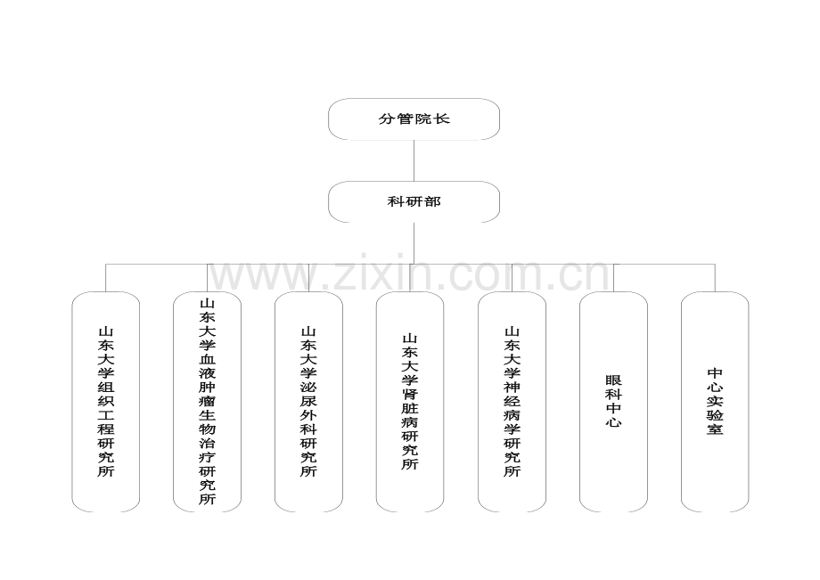 医院教学组织结构图.doc_第2页