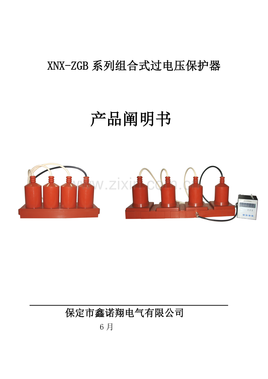 XNX-ZGB组合式过电压保护器说明书(标准电子版)解析.doc_第1页