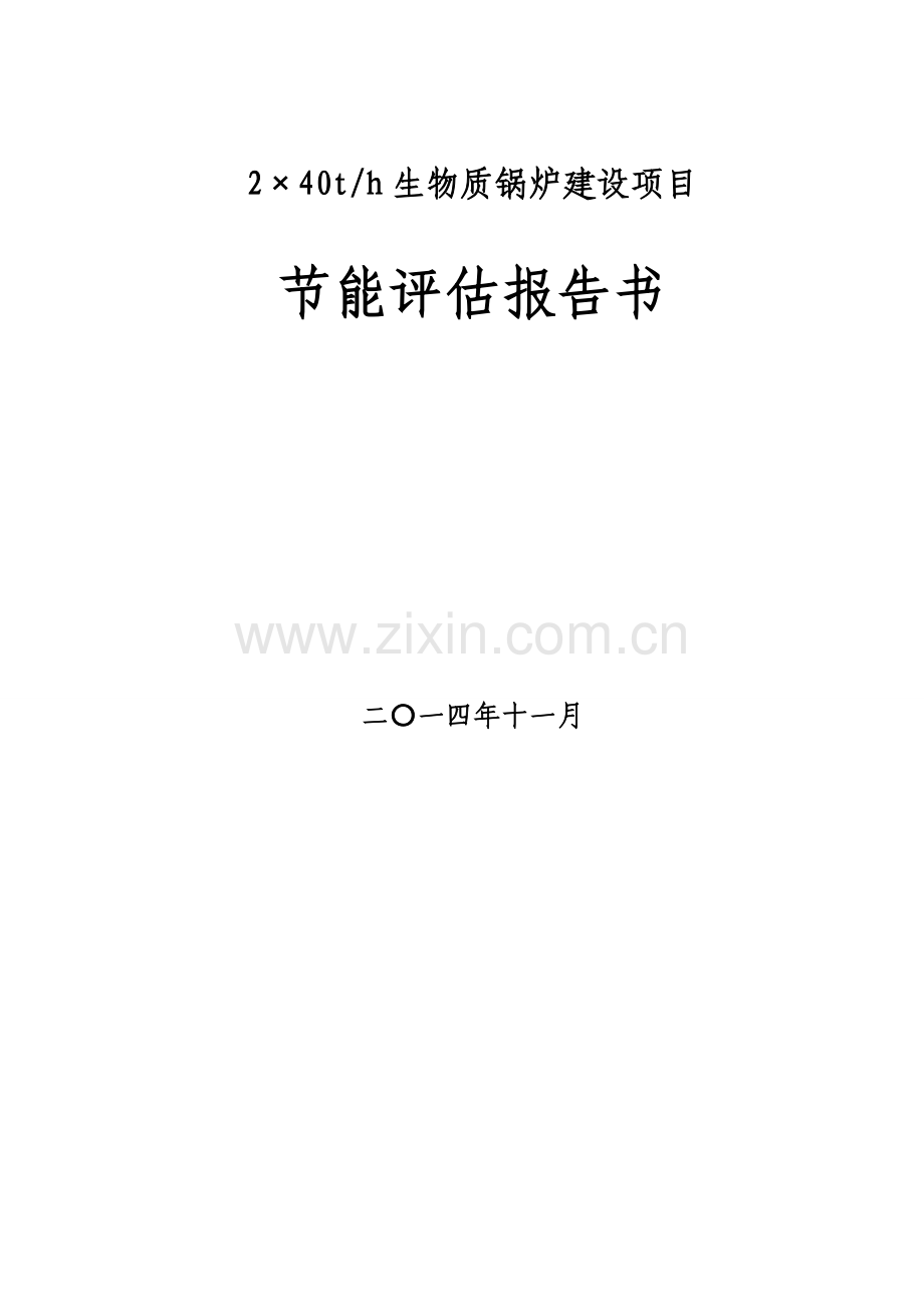 2×40th生物质锅炉建设项目能评报告书.doc_第1页